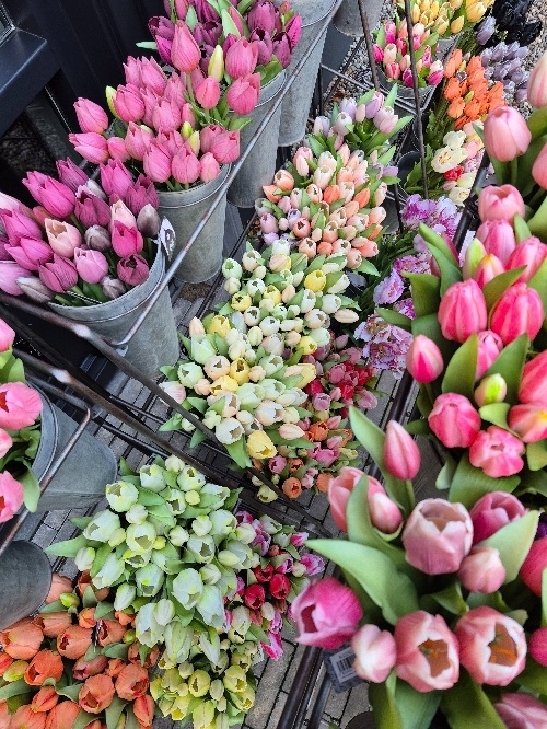 Populaire kleuren kunsttulpen