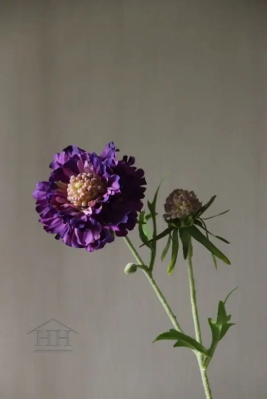 Paarse scabiosa kunstbloem - levendige en gedetailleerde bloem