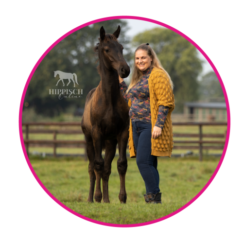 Susanne Bos - Paard&Winst - Adminstratie Paard & Winst - Susanne Bos - Hippisch Boekhouder