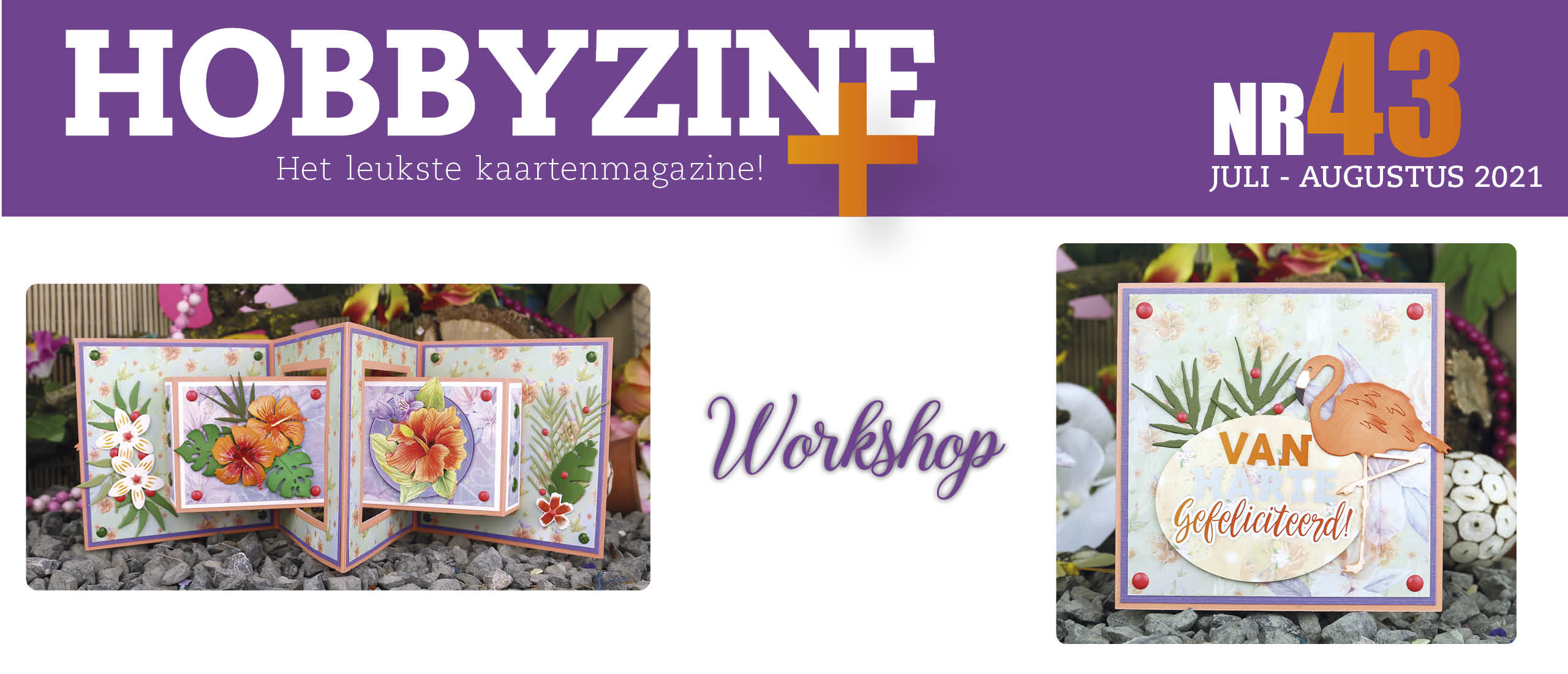 Workshop Hobbyzine 43