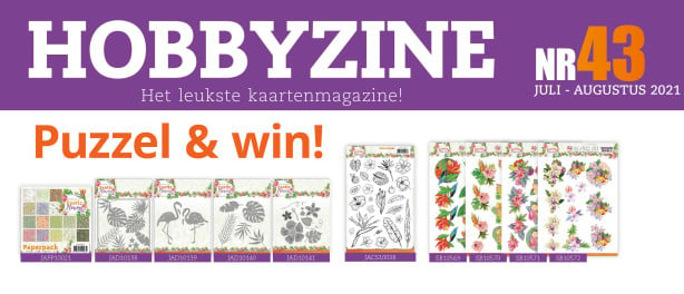 Puzzelprijzen winnen met Hobbyzine 43