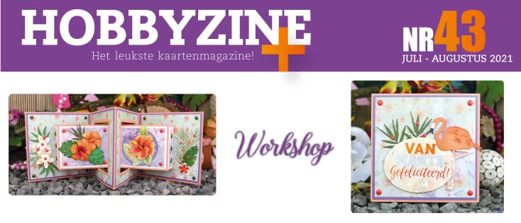 Workshop in Hobbyzine 43