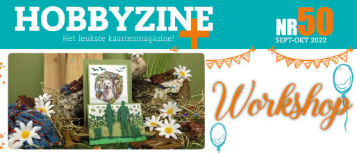 Hobbyzine Plus 50 heeft een geweldige workshopkaart!