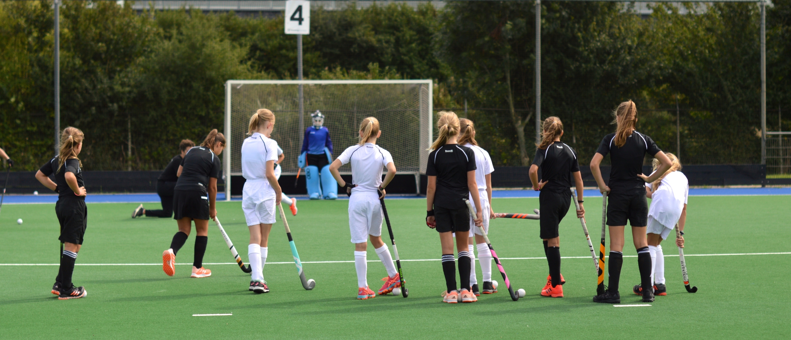 Het coachwoordenboek