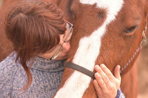Holistic Horse Care