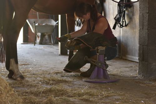 Hoefverzorging Holistic Horse Care