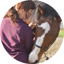MYOFASCIALE THERAPIE Holistic Horse Care
