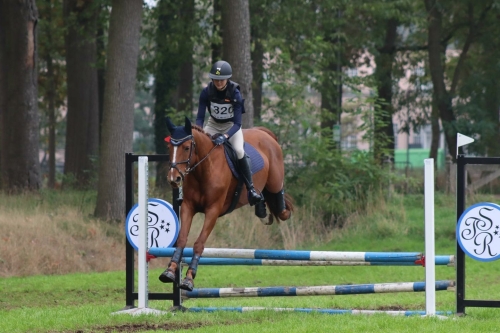 springpaard hoefschoenen