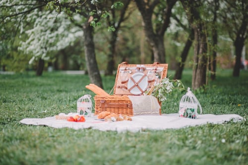 een picknick mand in het midden van een grasveld omringd door bomen.
