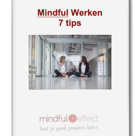 E-book mindful werken tips