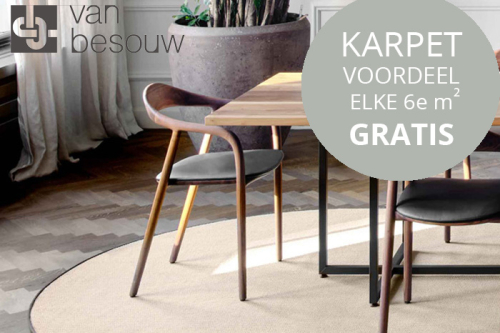 Van Besouw Actie Karpet