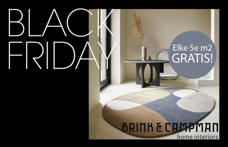 Black Friday Brink