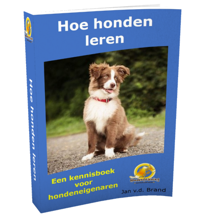 hoe honden leren