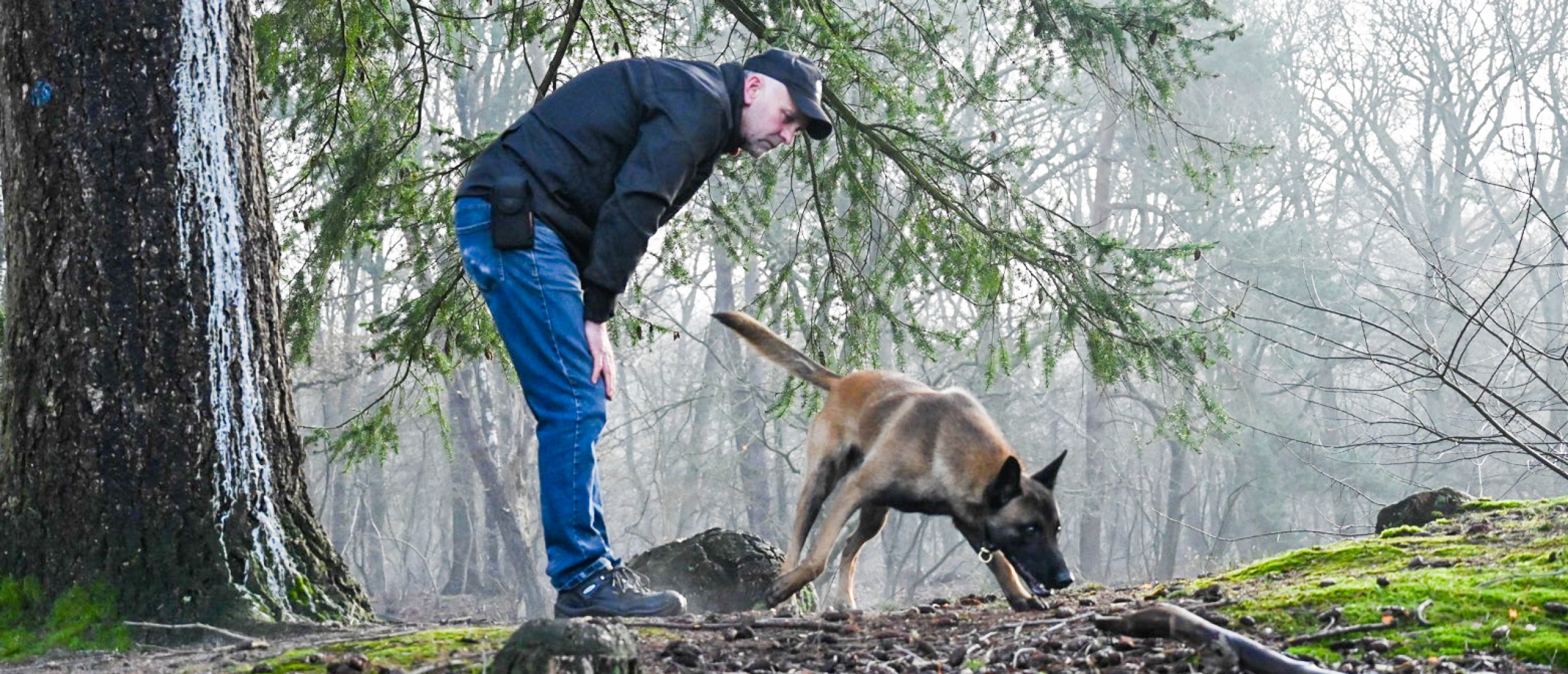 Gepensioneerde Portret nek Dog Training Dick Staal