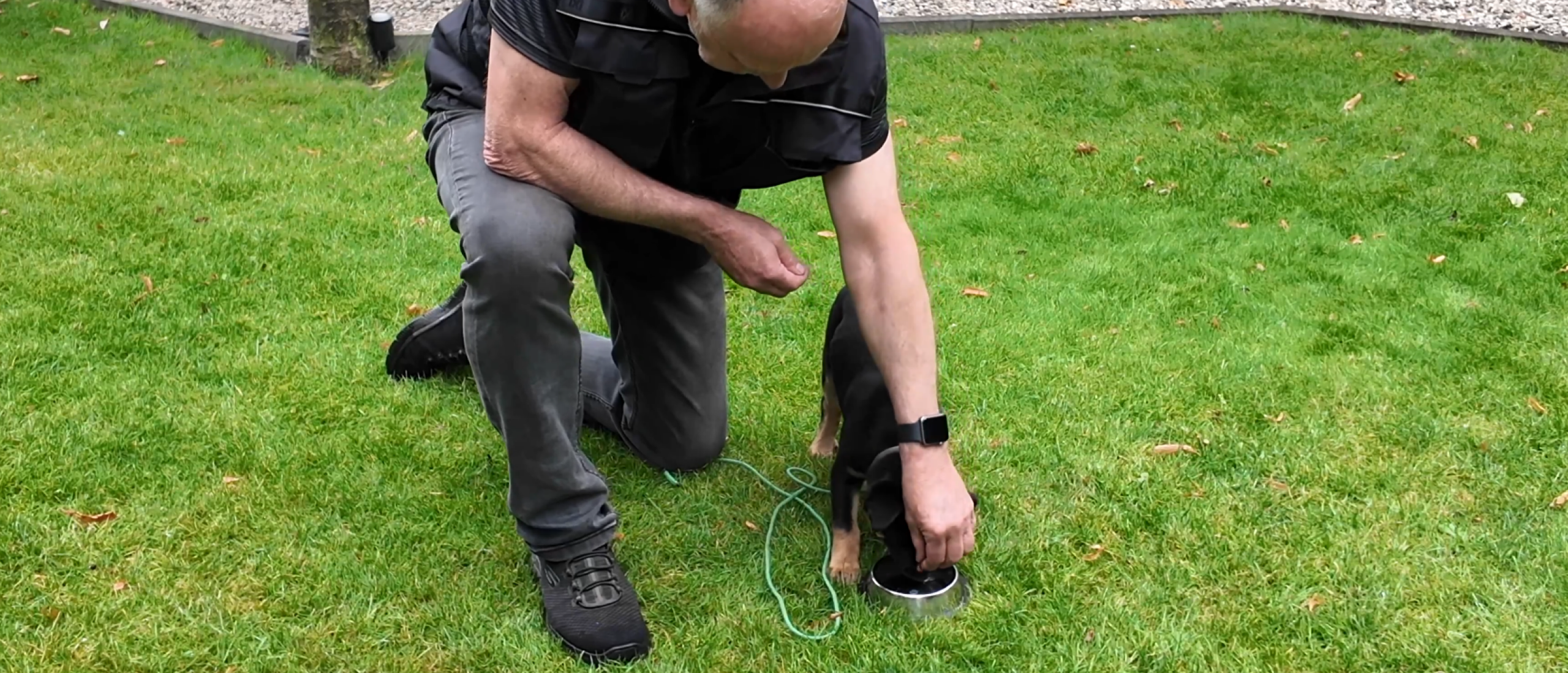 Met Voer Trainen, Dat Wil Ik Echt Niet!