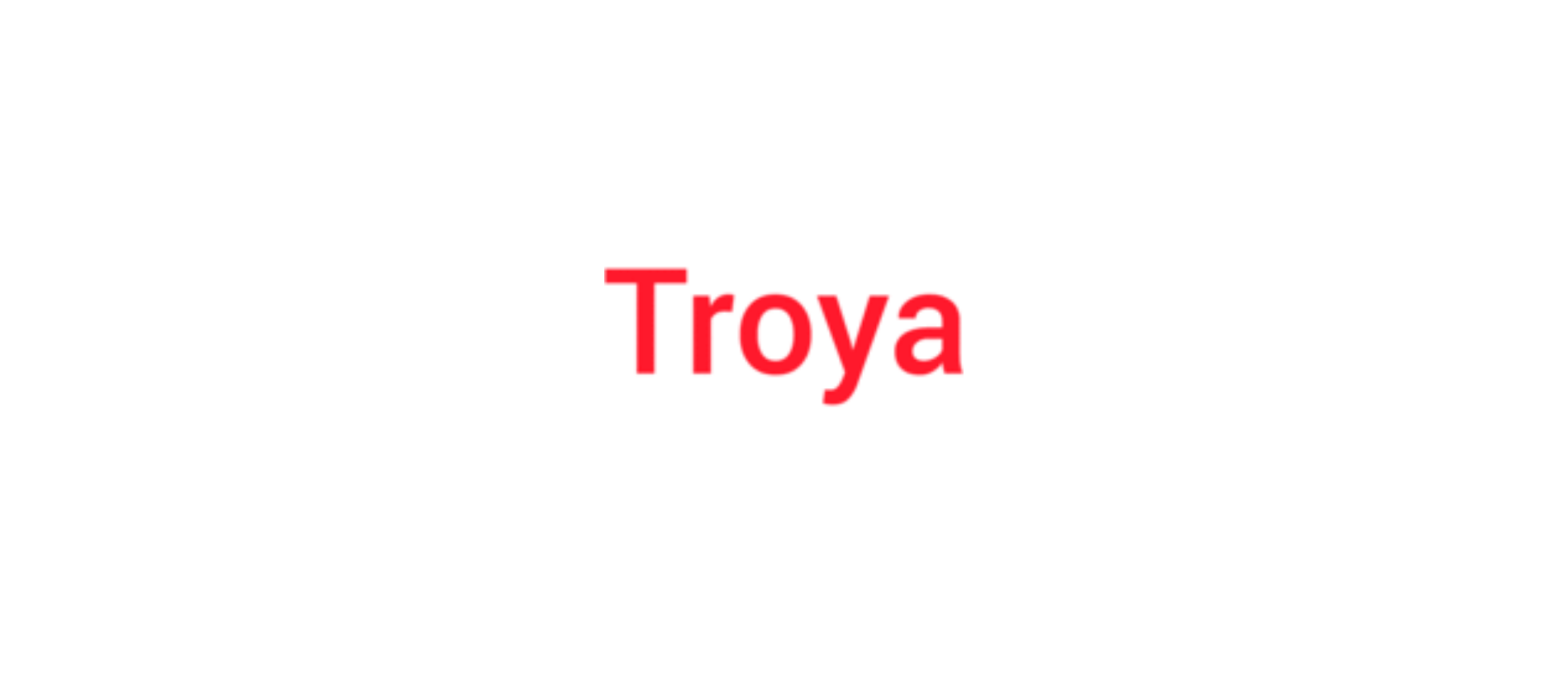 Troya Doner: Een culinair pareltje in Purmerend