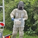 aziatische hoornaar bestrijding