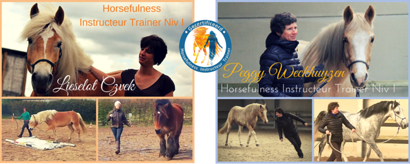 De eerste gecertificeerde Horsefulness Instructeur Trainers!