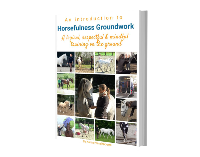 free-e-book-horsefulness-groundwork-training-with-horses