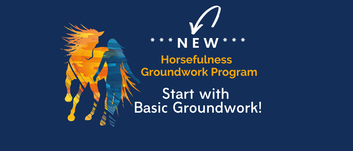 ***NEW *** Start with the first part of the Horsefulness Groundwork Program