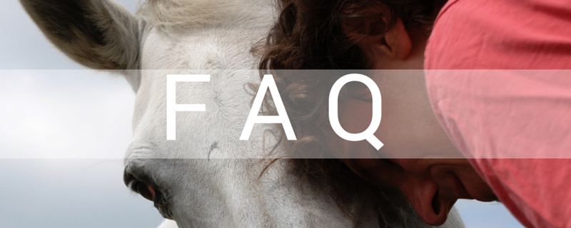 Horsefulness Liberty Training Program: FAQ