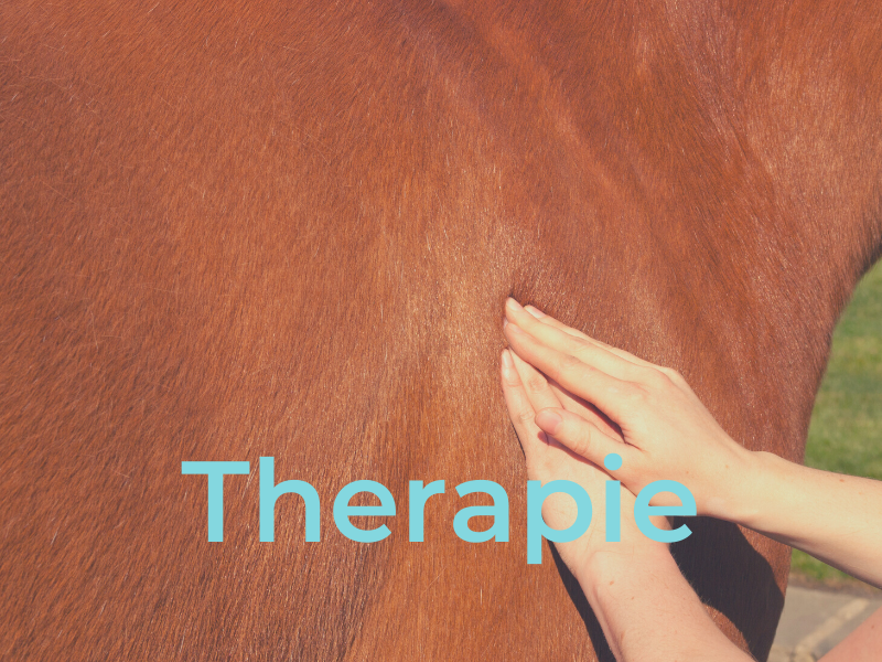 Therapie Horse Health Plan