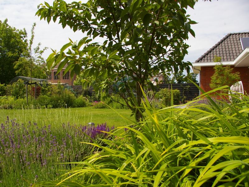 Hortiverde_tuin Dreumel 2