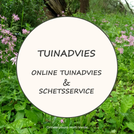 hortiverde_online tuinadvies en schetsservice