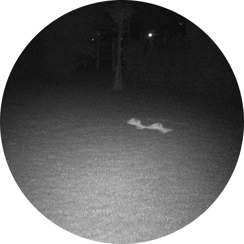 hortiverde-nachtcamera