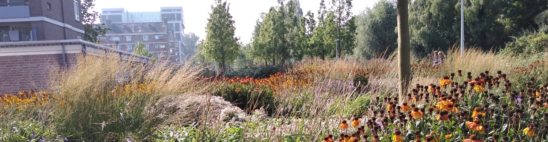 hortiverde_Spoorpark Amsterdam 2021