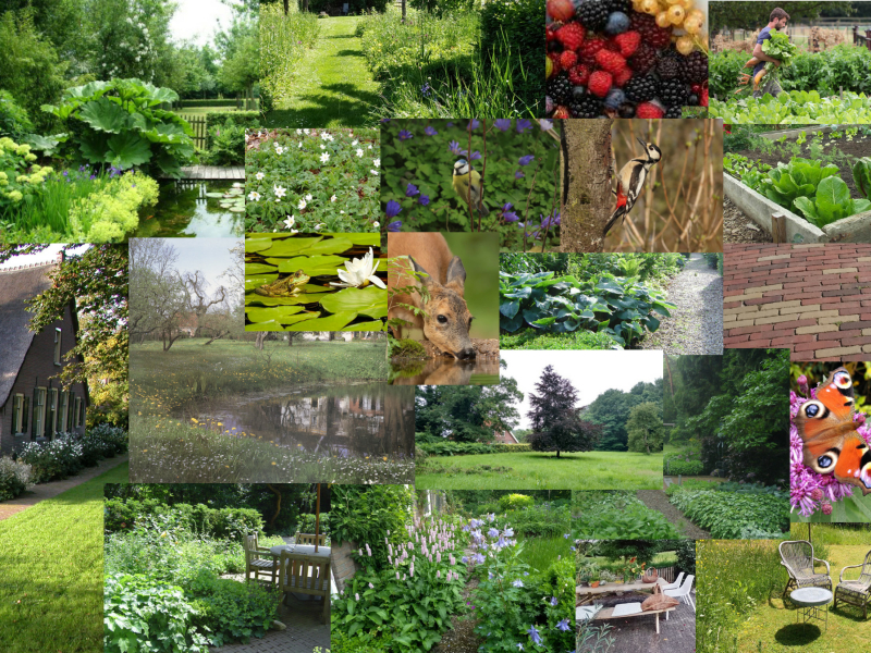 hortiverde_moodboard landelijke tuin