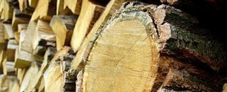 Welk houtsoort is het meest geschikt voor welke houtkachel?