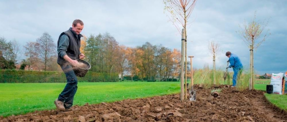 Wanneer Bemesten Tuin