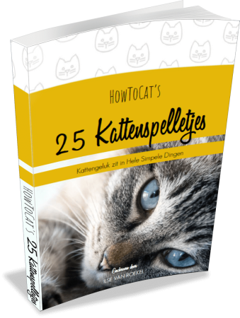 Dicteren Jolly Massage Gratis e-book 25 kattenspelletjes