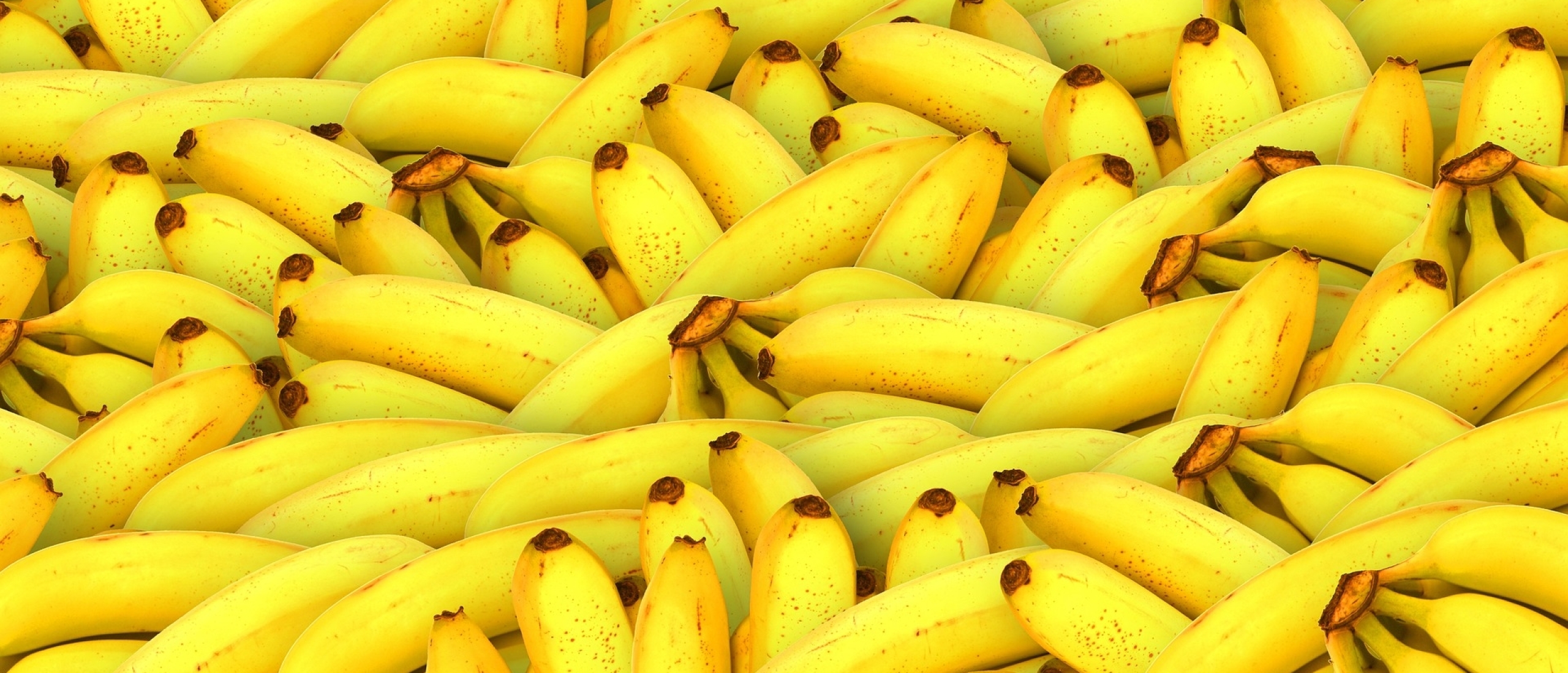 Bananenwijsheid