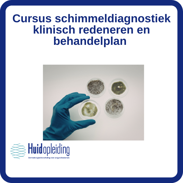 Cursus schimmeldiagnostiek: klinisch redeneren en behandelplan