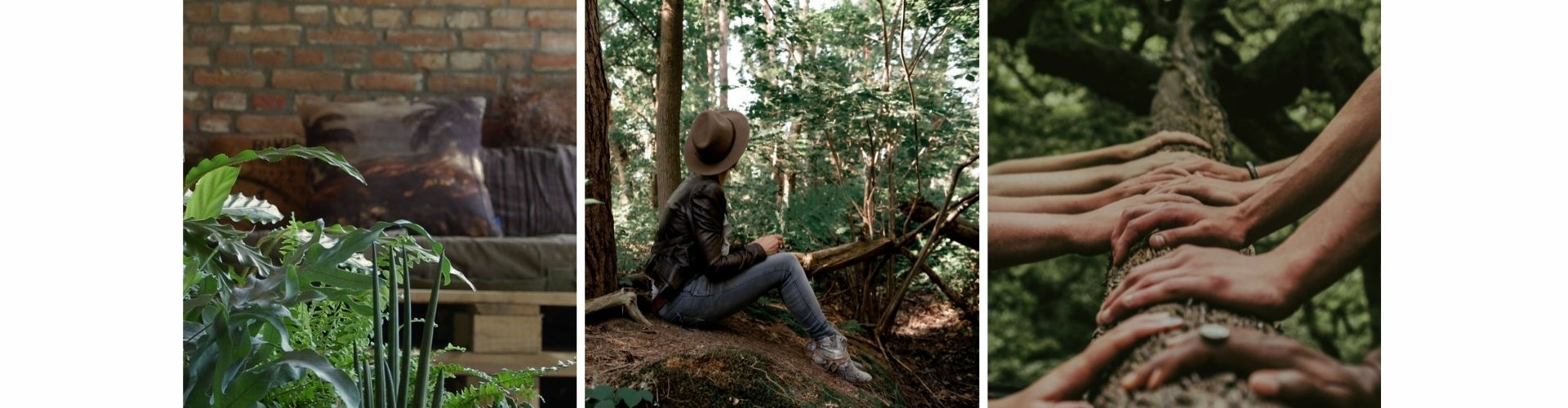 huis van hees Huis Van Hees