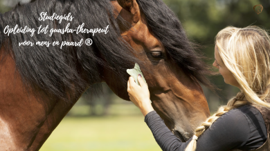 Human & Horse Guasha Therapeut studiegids