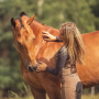 Paard met verzorgster