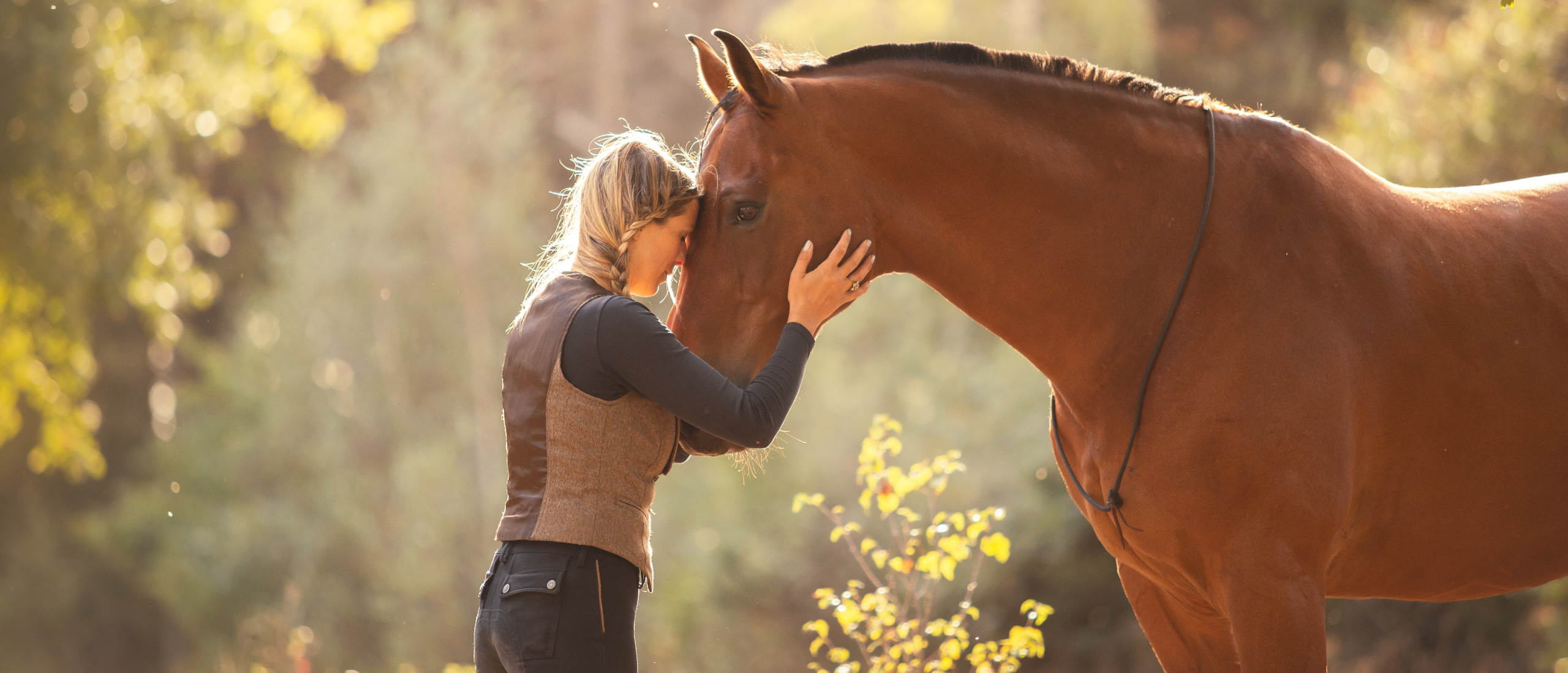 Interview met Greetje over Bongo: '' Wat Bongo mij vooral heeft geleerd, is dat ouder worden voor mij niet automatisch betekent dat we steeds minder met een paard moeten doen.''