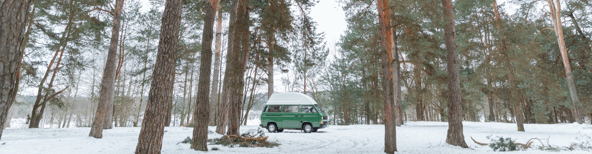 Volkswagen Camper Groen Sneeuw Bos