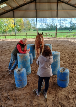 voortraject horsemanshipopleiding