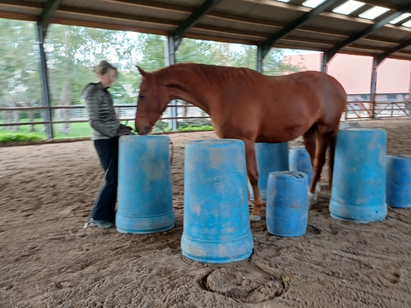 voortraject opleiding 5