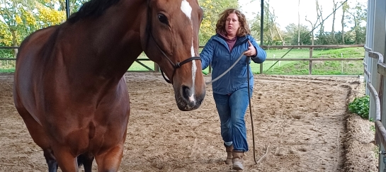 vooropleiding horsemanship 3