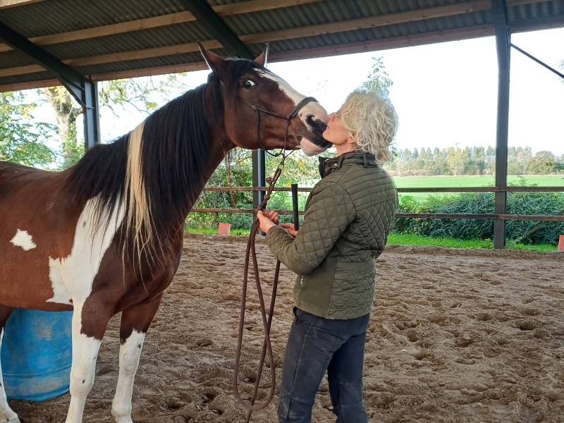 voortraject opleiding 9