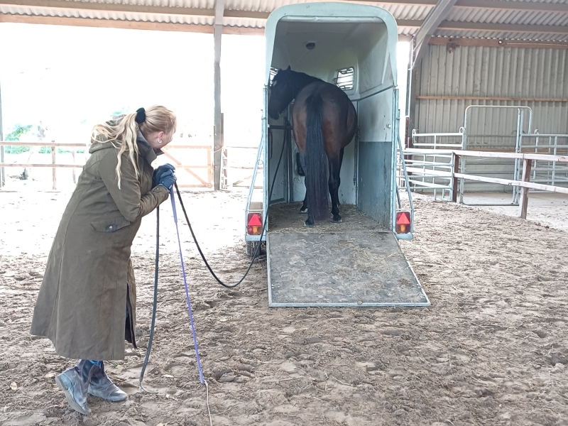 voortraject opleiding 8