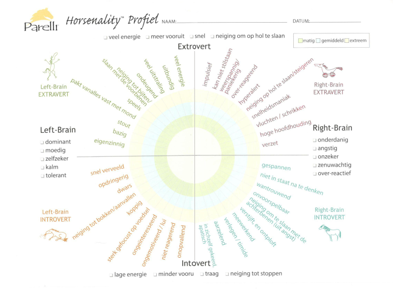Horsenality chart