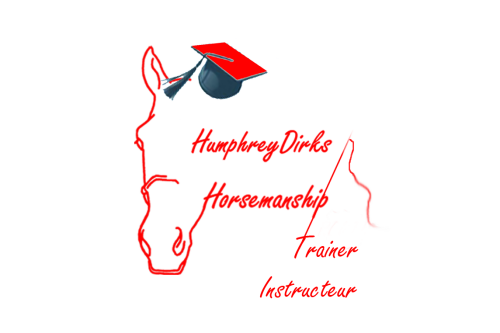 LOGO horsemanship opleiding