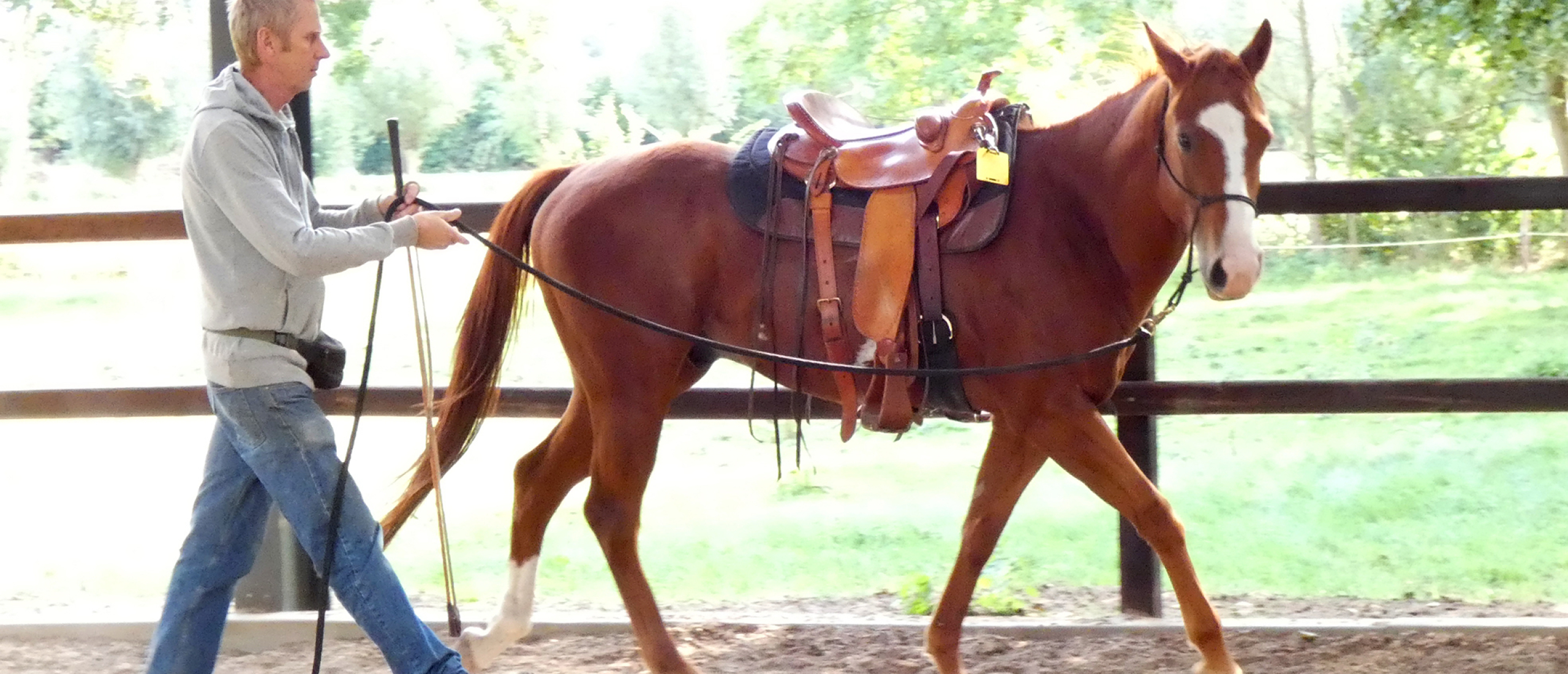 Zadelmak maken Jimmy