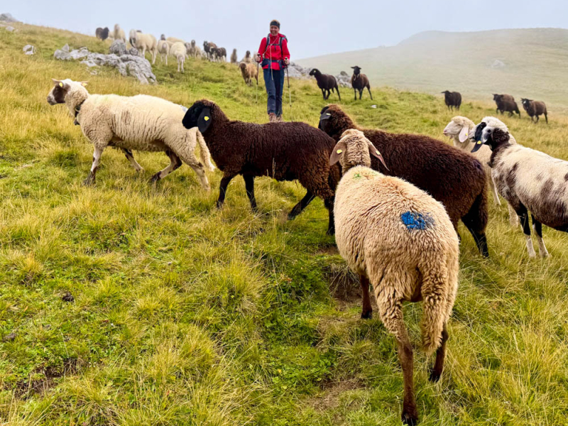 huttentocht-met-kinderen-oostenrijk-tirol-seefeld-3-4-5-dagen-tips-route-hans-en-nel-bergwandelen-zomervakantie-143